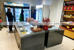 冷柜-福建廈門滋補(bǔ)品冷藏冷凍展示柜選購(gòu)