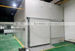 冷庫(kù)設(shè)計(jì)-江蘇蘇州-25℃冷凍冷庫(kù)安裝